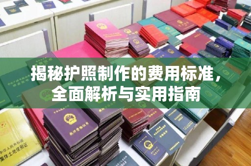 梁子湖揭秘护照制作的费用标准，全面解析与实用指南